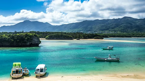 Getty Images "If Ryukyuan cuisine disappears, we will lose the identity of Okinawa" (Credit: Getty Images)