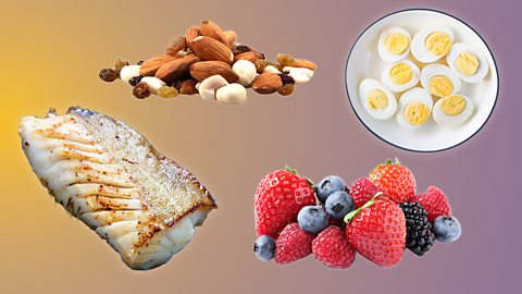 Cooked cod fish, hard boiled eggs, nuts and berries on a purple and amber background.