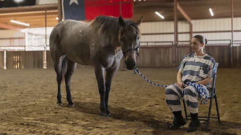 Ilie Mitaru A woman in a striped prison uniform sitting in a chair holds a rope attached to a horse she is looking at (Credit: Ilie Mitaru)
