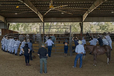 Ilie Mitaru Horse-assisted therapy has been shown to help reduce some of the symptoms associated with post-traumatic stress disorder (Credit: Ilie Mitaru)