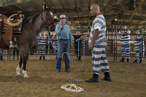 Ilie Mitaru Pat Puckett has taught horse training around the world, but is now hoping his experience can help his fellow veterans (Credit: Ilie Mitaru)