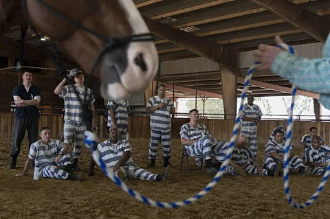Ilie Mitaru Puckett teaches the inmates a technique known as "natural horsemanship", which focuses on cooperation with the animal rather than domination (Credit: Ilie Mitaru)