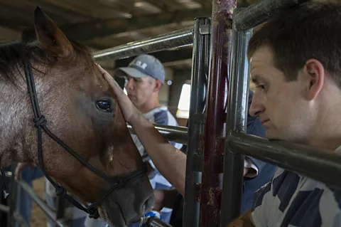 Ilie Mitaru Interacting with the horses can help inmates develop empathy and self-esteem (Credit: Ilie Mitaru)