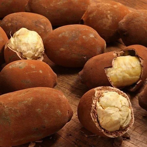 Getty Images Cupuaçu is a close relative of cacao (Credit: Getty Images)