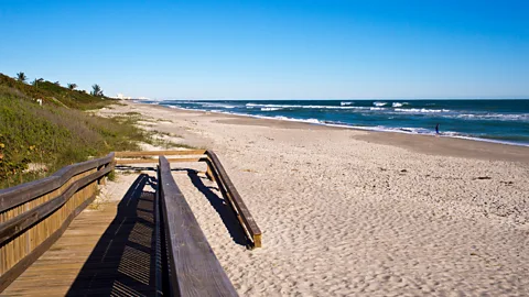 Alamy The Archie Carr National Wildlife Refuge is just 90 minutes away from heavily-touristed Orlando (Credit: Alamy)