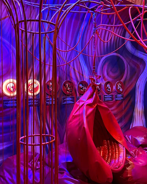 Tyla Fergusson-Platt A red hanging chair in the "birth" room represents the womb (Credit: Tyla Fergusson-Platt)