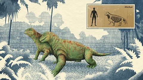 Emmanuel Lafont/ BBC The Permian was filled with bizarre creatures, such as the wrinkly herbivore Moschops – aesthetically like frogs, but the size of muskoxen (Credit: Emmanuel Lafont/ BBC)