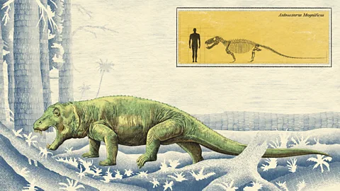 Emmanuel Lafont/ BBC Benoit thinks of Anteosaurus as the cheetah of its day (Credit: Emmanuel Lafont/ BBC)