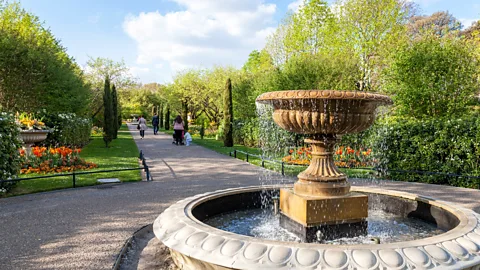 Alamy London's Regents Park offers bucolic rambles as well as sports opportunities (Credit: Alamy)