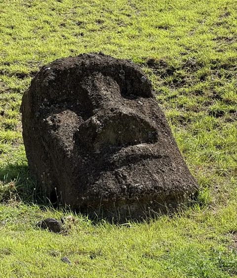 Sofia Quaglia Many standing moai were toppled at some point; others appear to have been dropped or remain embedded in mountain (Credit: Sofia Quaglia)