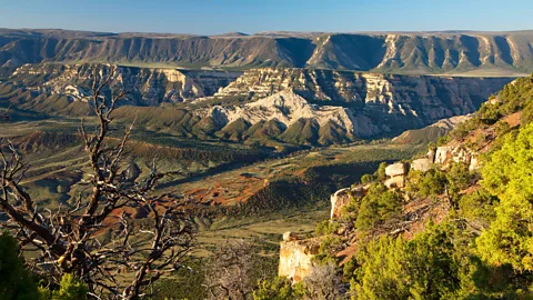 Alamy Dinosaur National Monument is home to one of the world's richest concentrations of dinosaur fossils (Credit: Alamy)