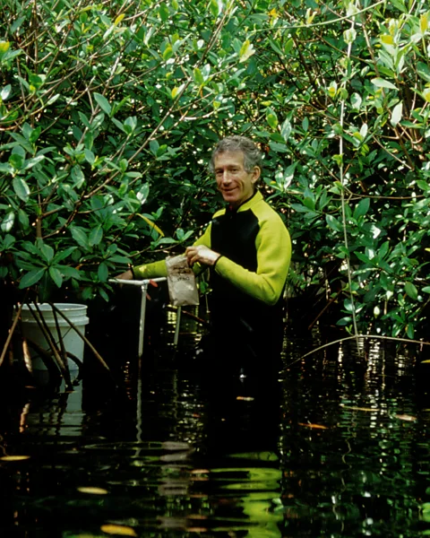 Global Ecotechnics Corporation Mark Nelson was one of the eight biospherians to live within Biosphere 2 in the early 1990s (Credit: Global Ecotechnics Corporation)
