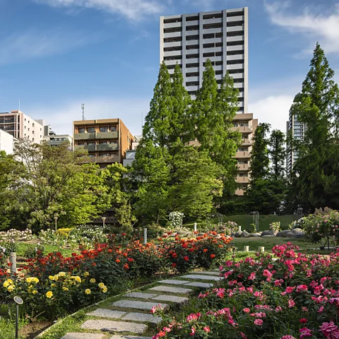 Alamy Utsubo Park is a green oasis in the heart of Osaka with tree-lined paths, rose gardens and open lawns (Credit: Alamy)