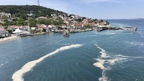 Getty Images The Sea of Marmara is getting hotter, making mucilage outbreaks more likely (Credit: Getty Images)