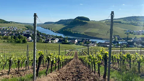 Emma Truscott The Moselle carves its way through Nittel an der Mosel (Credit: Emma Truscott)
