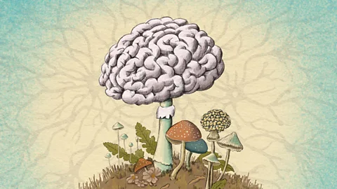 Emmanuel Lafont Illustration of a brain growing from the stem of a mushroom (Credit: Emmanuel Lafont)