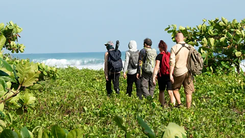 Oliver Berry Five people hiking in Corcovado National Park with the ocean in front of them (Credit: Oliver Berry)