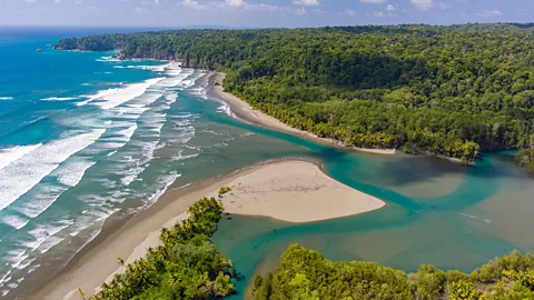 Alamy Located on Costa Rica's Osa Peninsula, Corcovado protects 2.5% of the planet's biodiversity (Credit: Alamy)