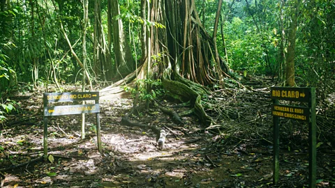 Getty Images Trail signs near Rio Claro mark one of Corcovado's key access points, where hikers enter primary rainforest teeming with wildlife and towering trees (Credit: Getty Images)