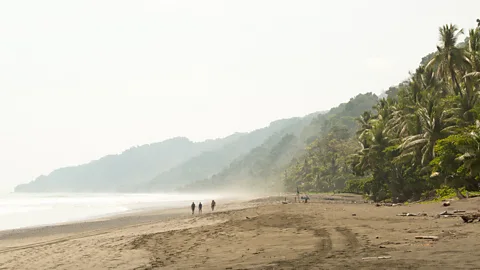 Oliver Berry Corcovado's windswept Pacific beaches form the western edge of the park, where rainforest meets coastline (Credit: Oliver Berry)