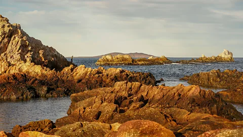 Rewilding Argentina Patagonia Azul's rugged coastline is dotted with rocky islets that form part of South America's newest marine conservation area (Credit: Rewilding Argentina)
