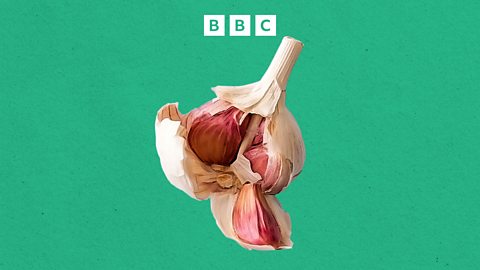  The Food Chain | Subscribe on BBC Sounds now