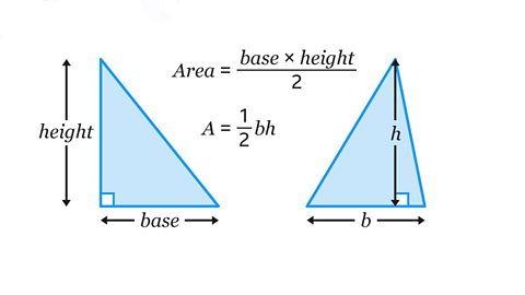 The image shows two right-angled triangles. The left triangle is labelled with "height" on the vertical side and "base" on the horizontal side. The right triangle is labelled "h" for height and "b" for base. Above both triangles are the formulas: "Area = (base × height) / 2" and "A = 1/2 bh". A purple banner in the top left corner reads, "Using the formula"