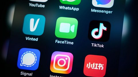 icons for apps including Vinted, TikTok, Signal, Messenger, Whatsapp and FaceTime are lit up on a phone screen