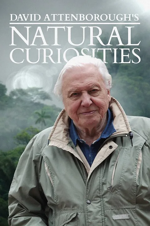 David Attenborough's Natural Curiosities