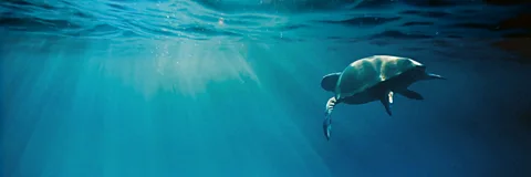 Mediterranean: Life Under Siege