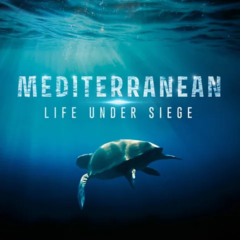 Mediterranean: Life Under Siege