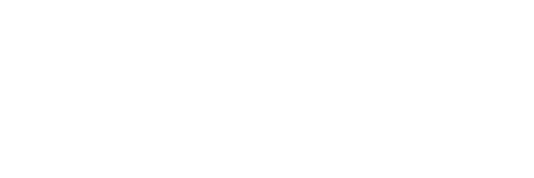 Tutankhamun: Life, Death and Legacy