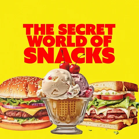 The Secret World of Snacks