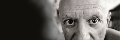 Picasso: The Beauty and the Beast