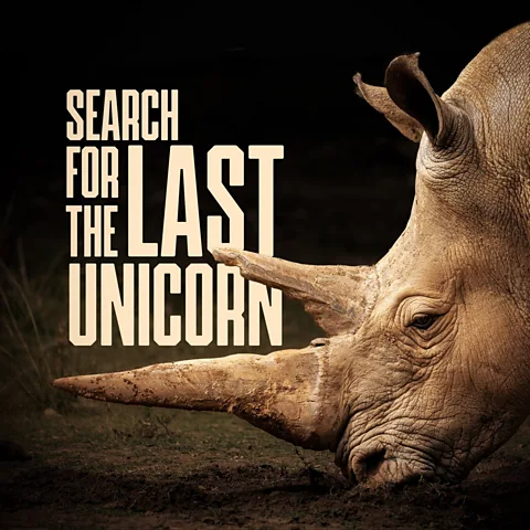 Search for the Last Unicorn