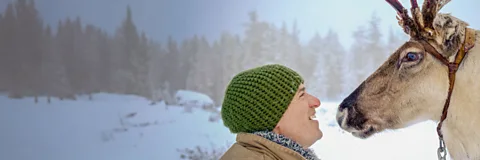 Reindeer Family and Me