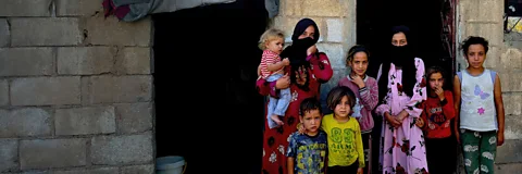 Life at 50 Degrees Celsius