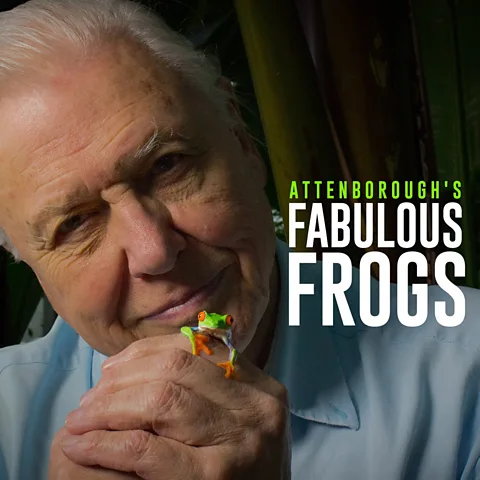 Attenborough's Fabulous Frogs
