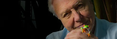 Attenborough's Fabulous Frogs