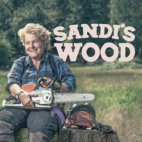 Sandi's Wood
