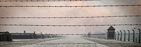 What Happened at Auschwitz