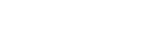 What Happened at Auschwitz