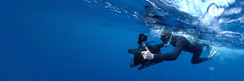 North Atlantic: The Dark Ocean