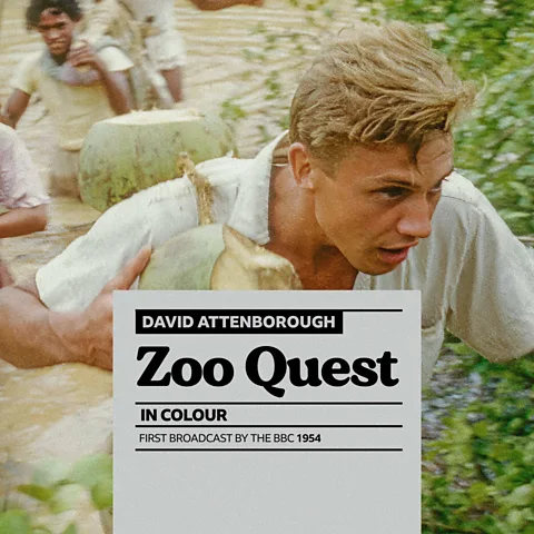Zoo Quest in Colour