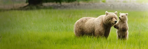 Earth's Great Seasons