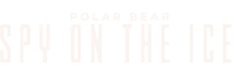 Polar Bear: Spy on the Ice
