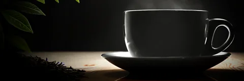 One Cup, A Thousand Stories