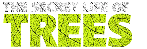 The Secret Life of Trees