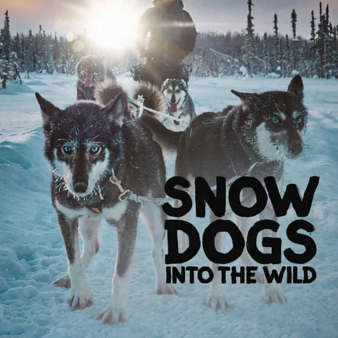 Snow Dogs: Into the Wild