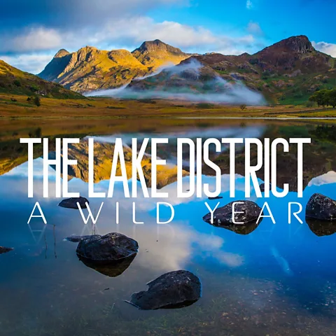 The Lake District: A Wild Year
